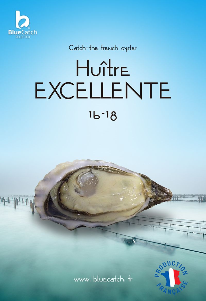 Excellente.jpg